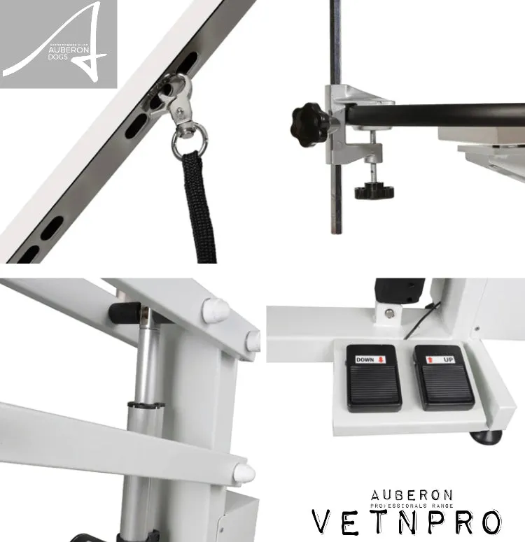Auberon Round Height adjustable handsfree dog grooming table with foot pedal control & adjustable grooming arm   loop