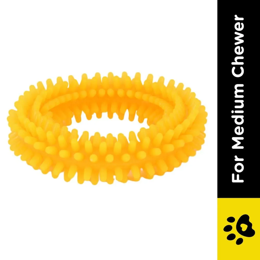 Basil Teething Ring Chew Toy and Squeaky Rubber Ball Toy Combo for Dogs