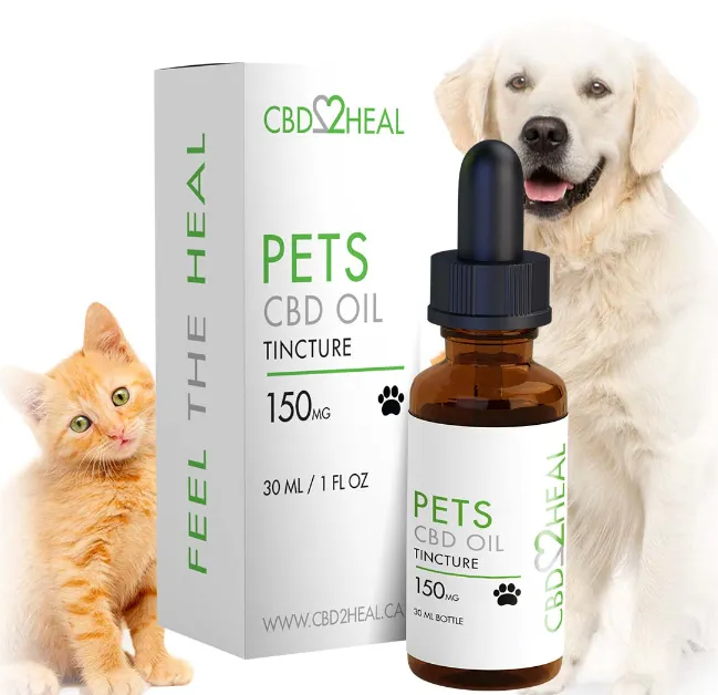 CBD Oil for Pets