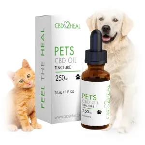 CBD Oil for Pets