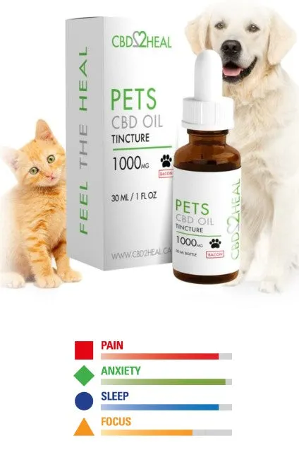 CBD Oil for Pets