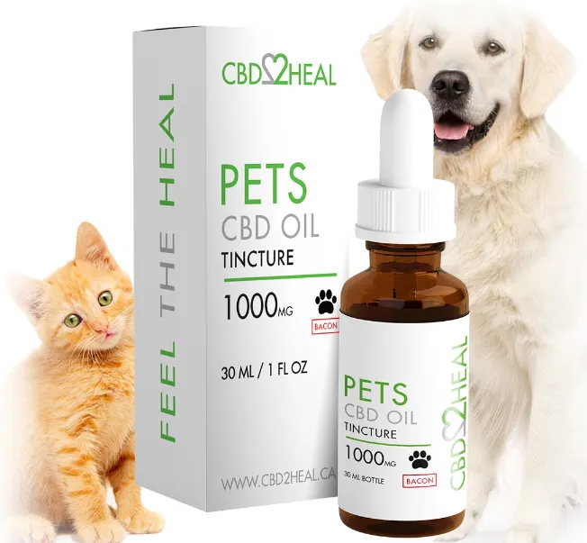 CBD Oil for Pets
