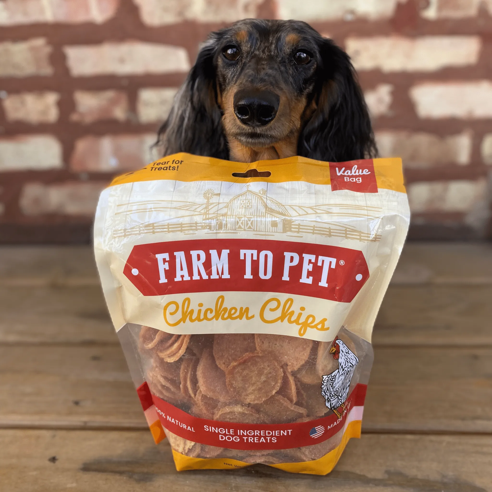 Chicken Chips for Dogs