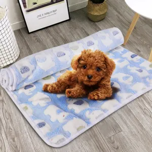 Coral Fleece Pet Super Soft Blankets