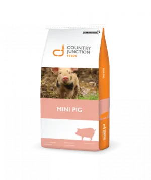 Country Junction Mini Pig Ration 20kg