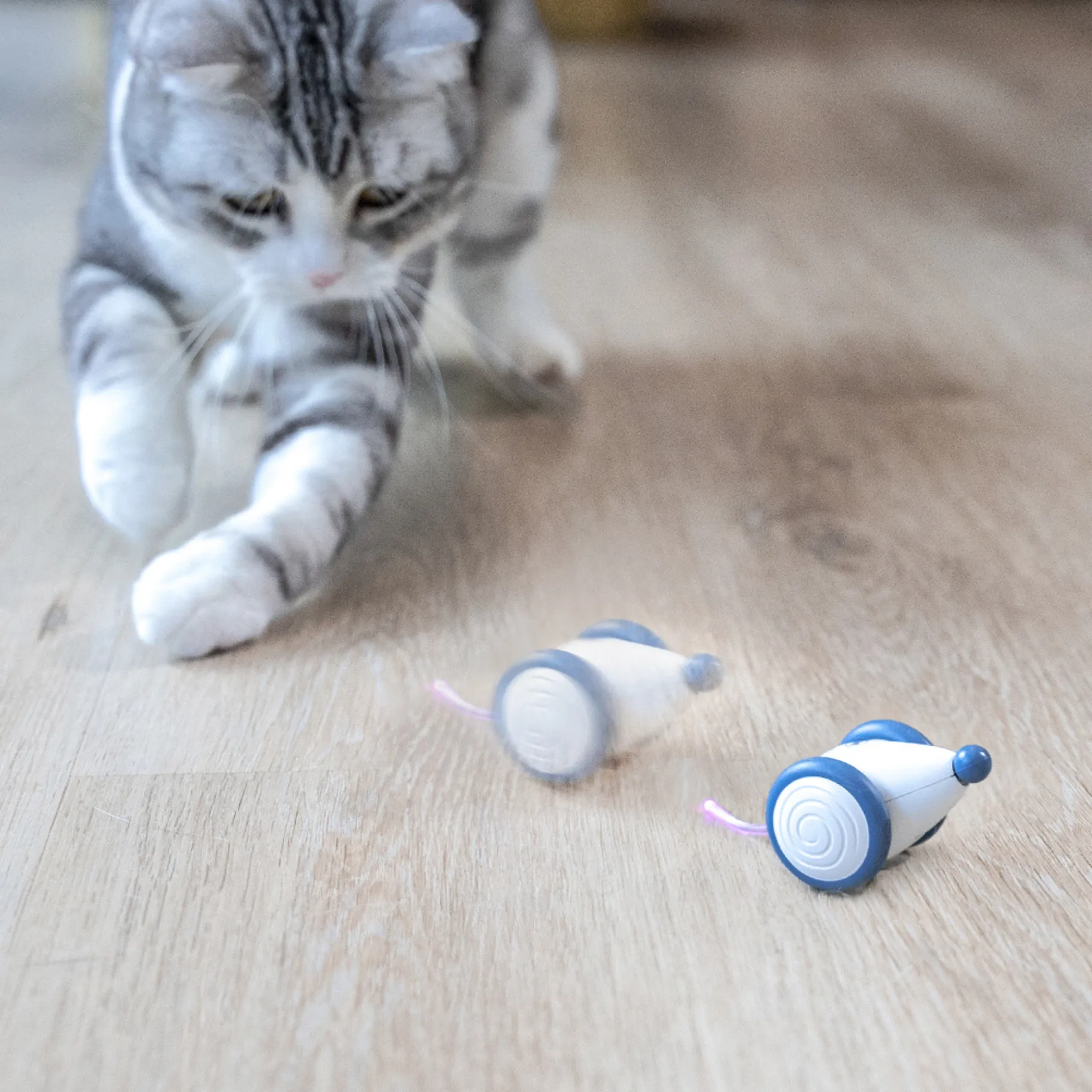 Curatepet Wicked Mouse Plus Interactive Smart Cat Toy
