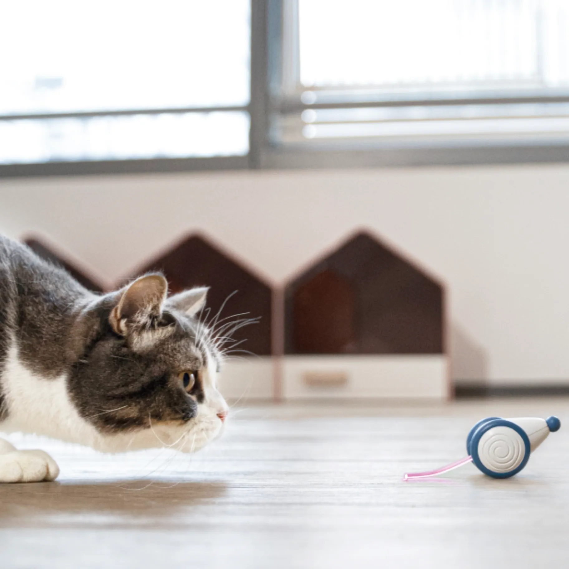 Curatepet Wicked Mouse Plus Interactive Smart Cat Toy
