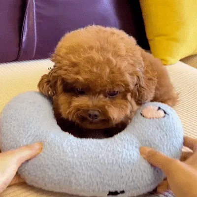 Dotmalls Pet Pillows