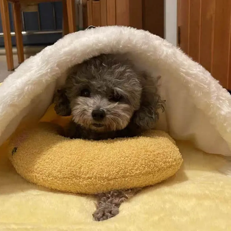 Dotmalls Pet Pillows