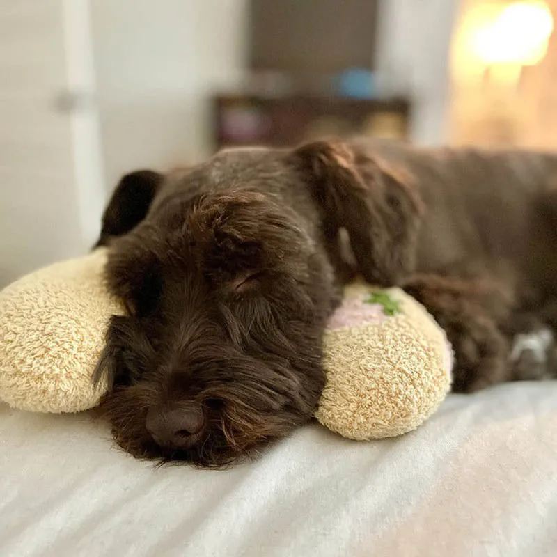 Dotmalls Pet Pillows