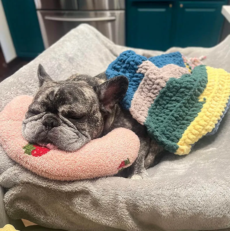 Dotmalls Pet Pillows