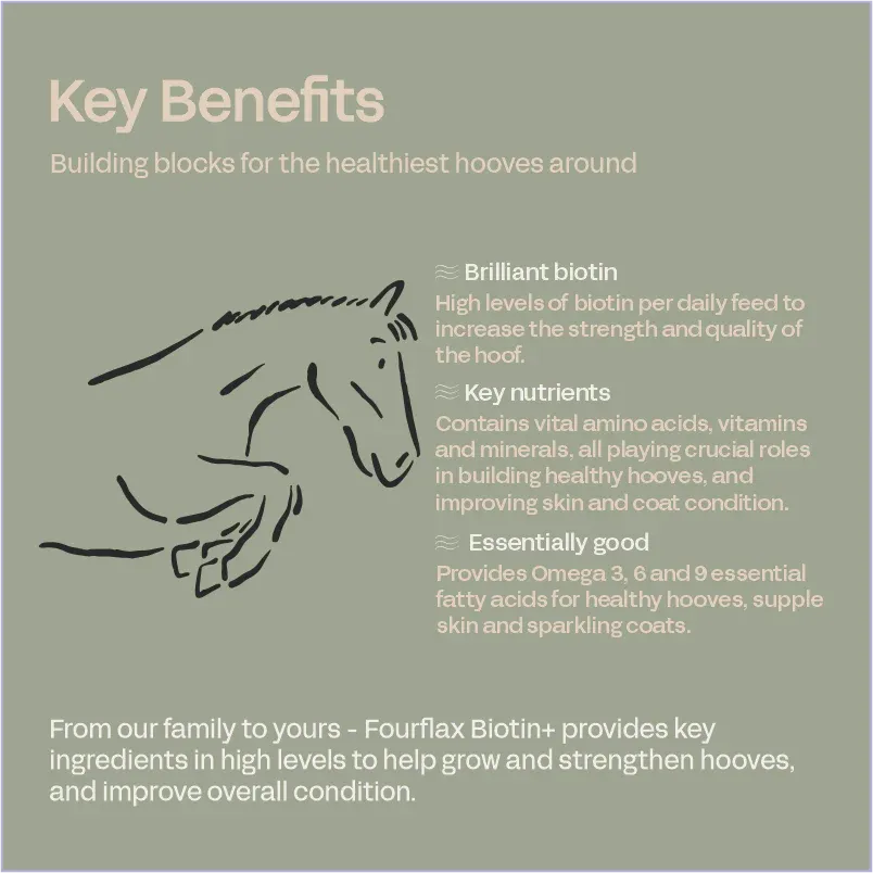 Four Flax Biotin   (formerly Provida Equine Strength & Shine with Biotin)