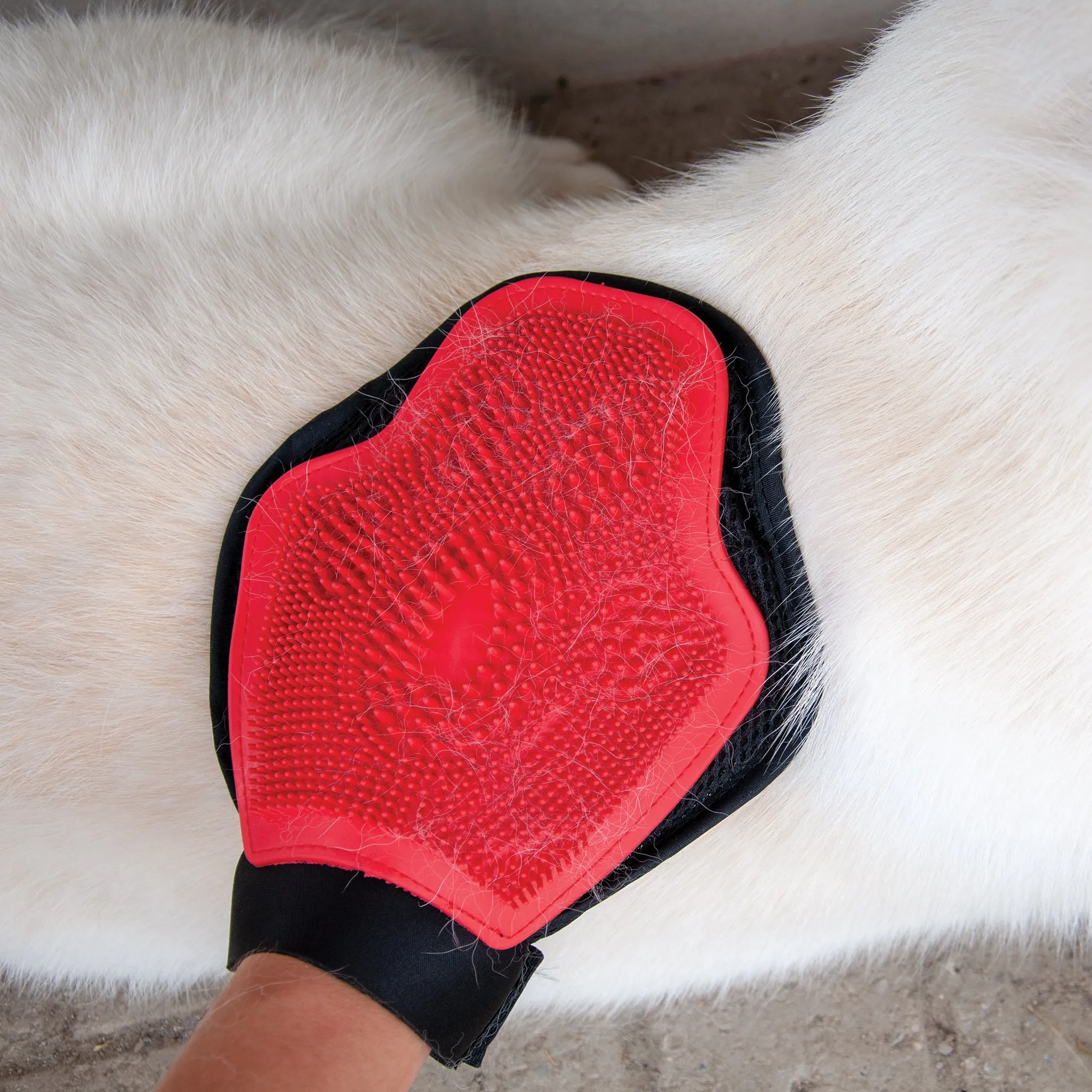 Grooming Glove