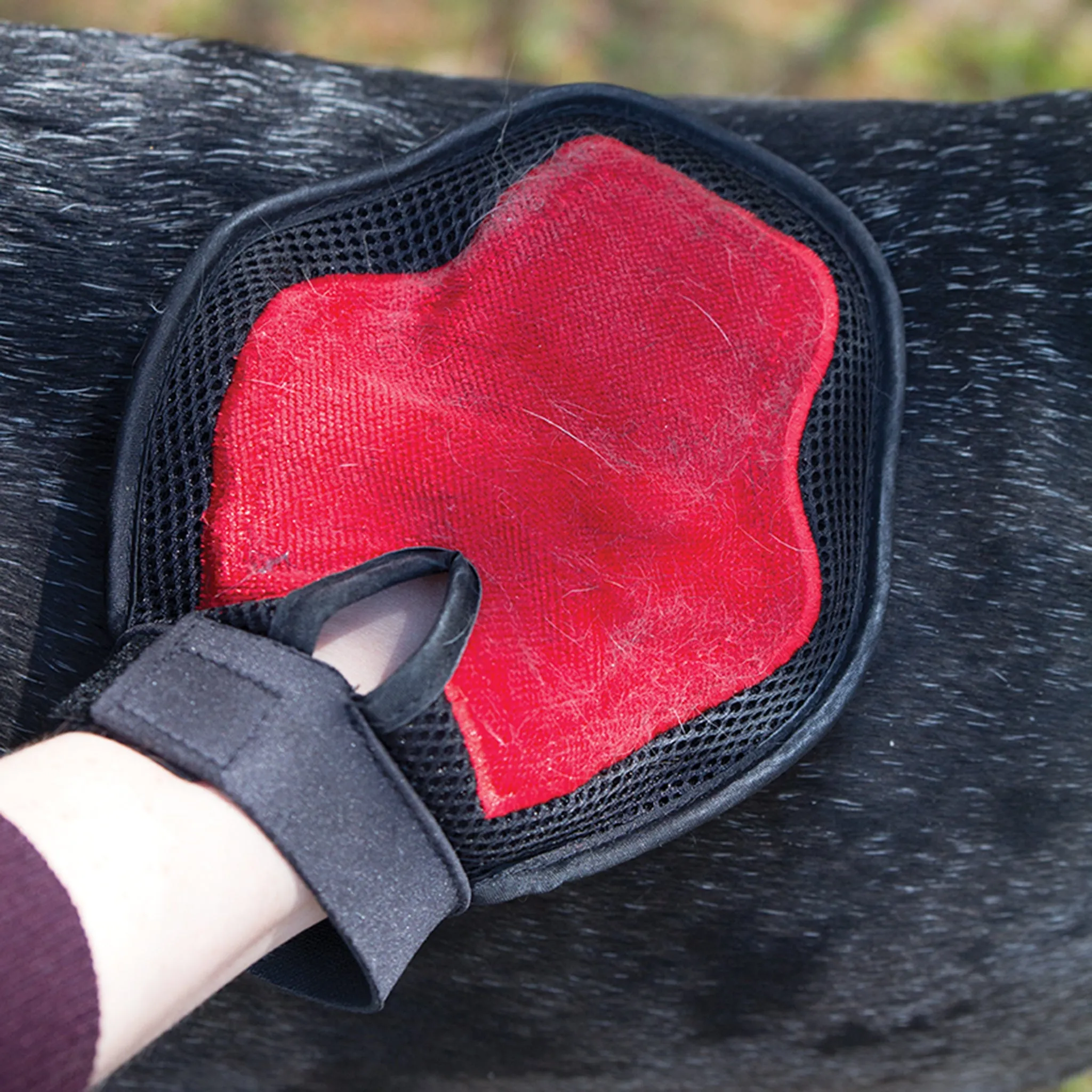 Grooming Glove
