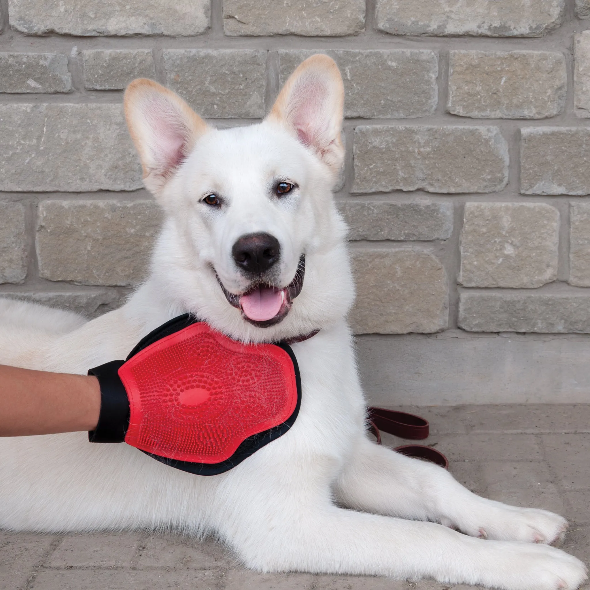 Grooming Glove