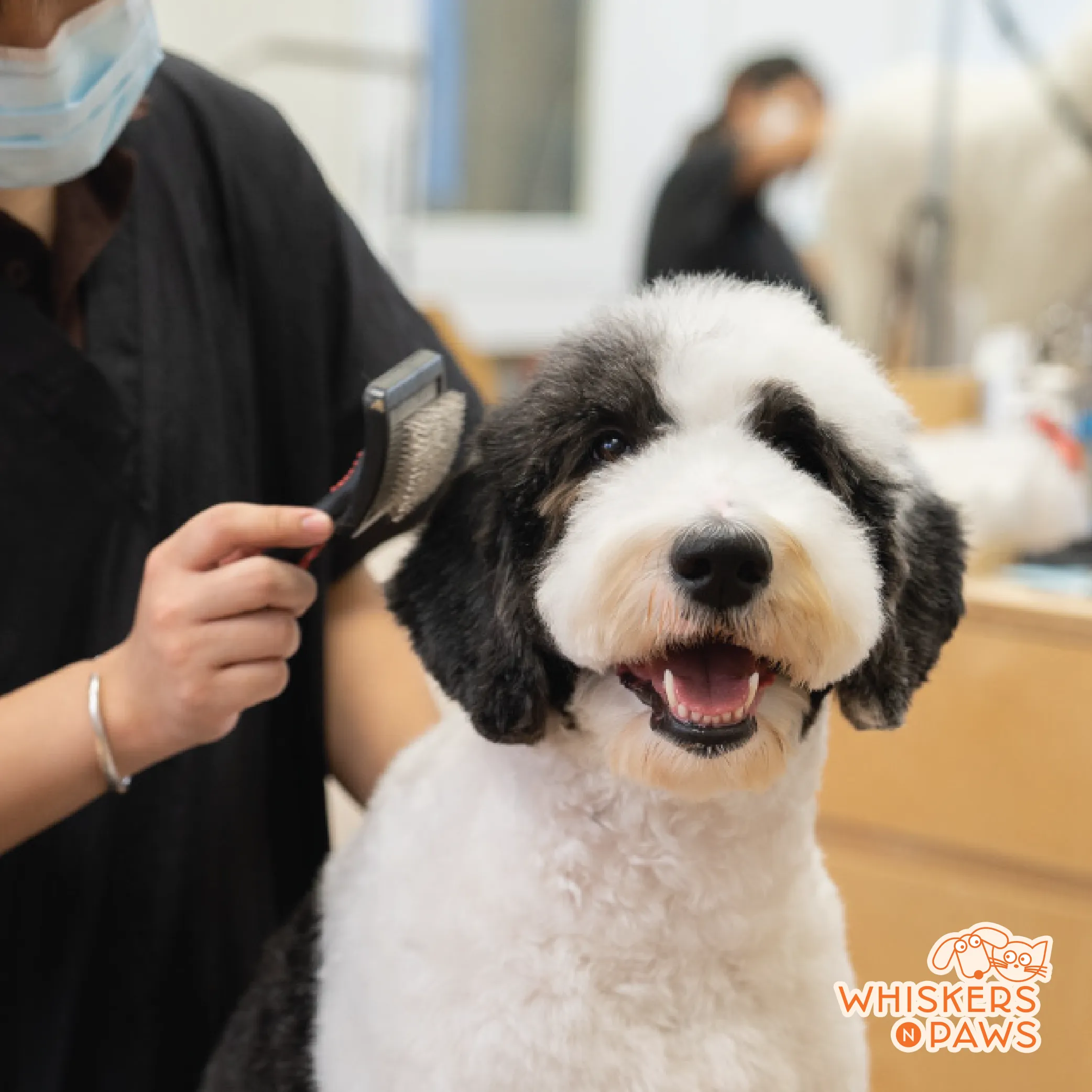 Grooming Package - Breed E