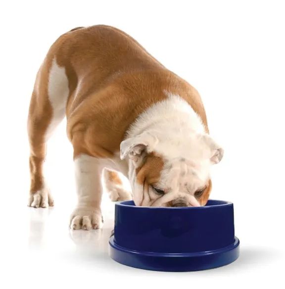 K&H Pet Products Coolin' Bowl - Cooling Water Bowl for Pets