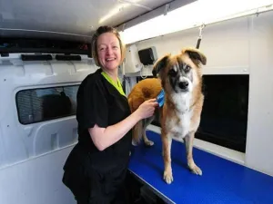 Mobile Pet Grooming Service Business Plan