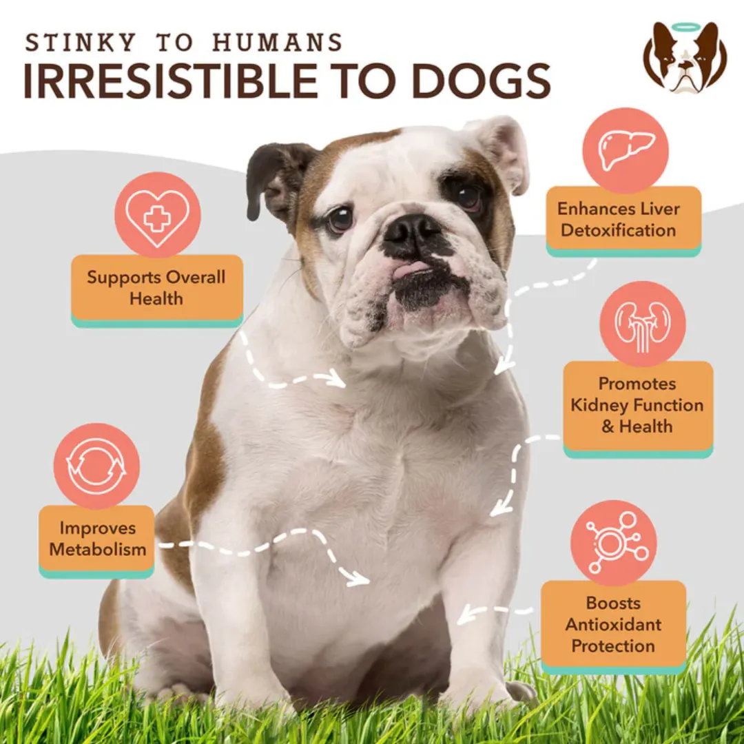 Natural Dog Company Liver & Kidney