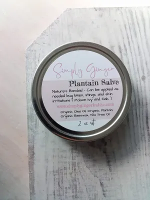 Organic Plantain Salve Salve ll Bug Bites   Bee Stings