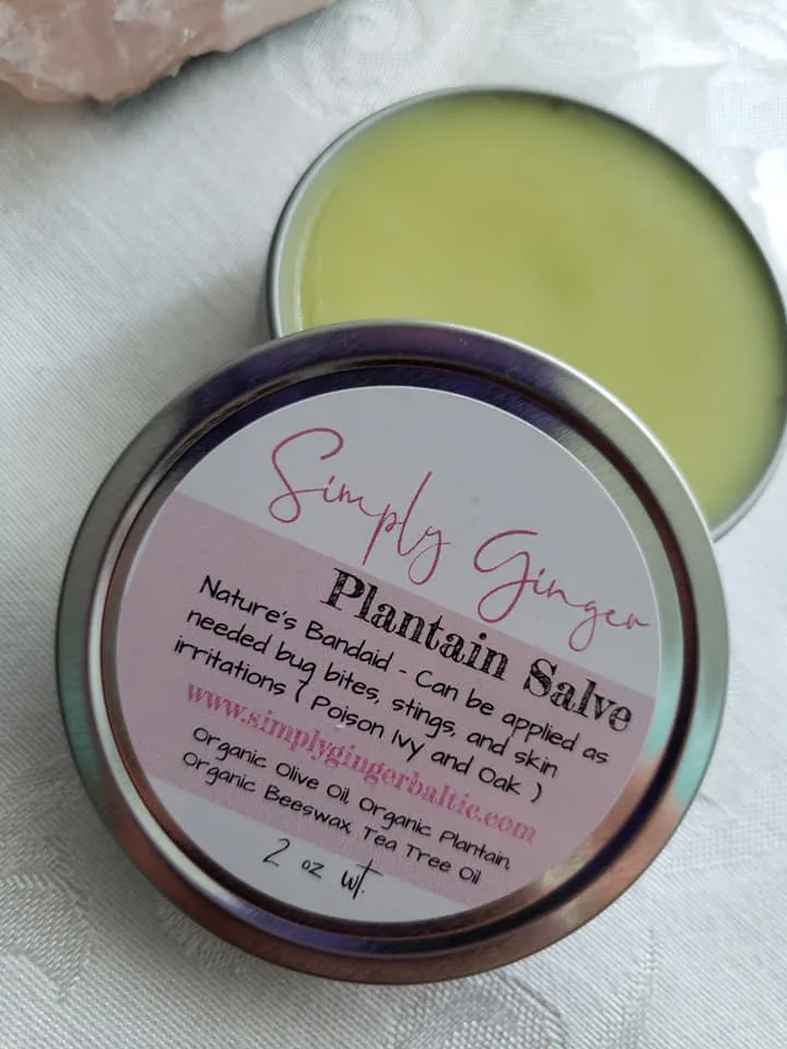 Organic Plantain Salve Salve ll Bug Bites   Bee Stings