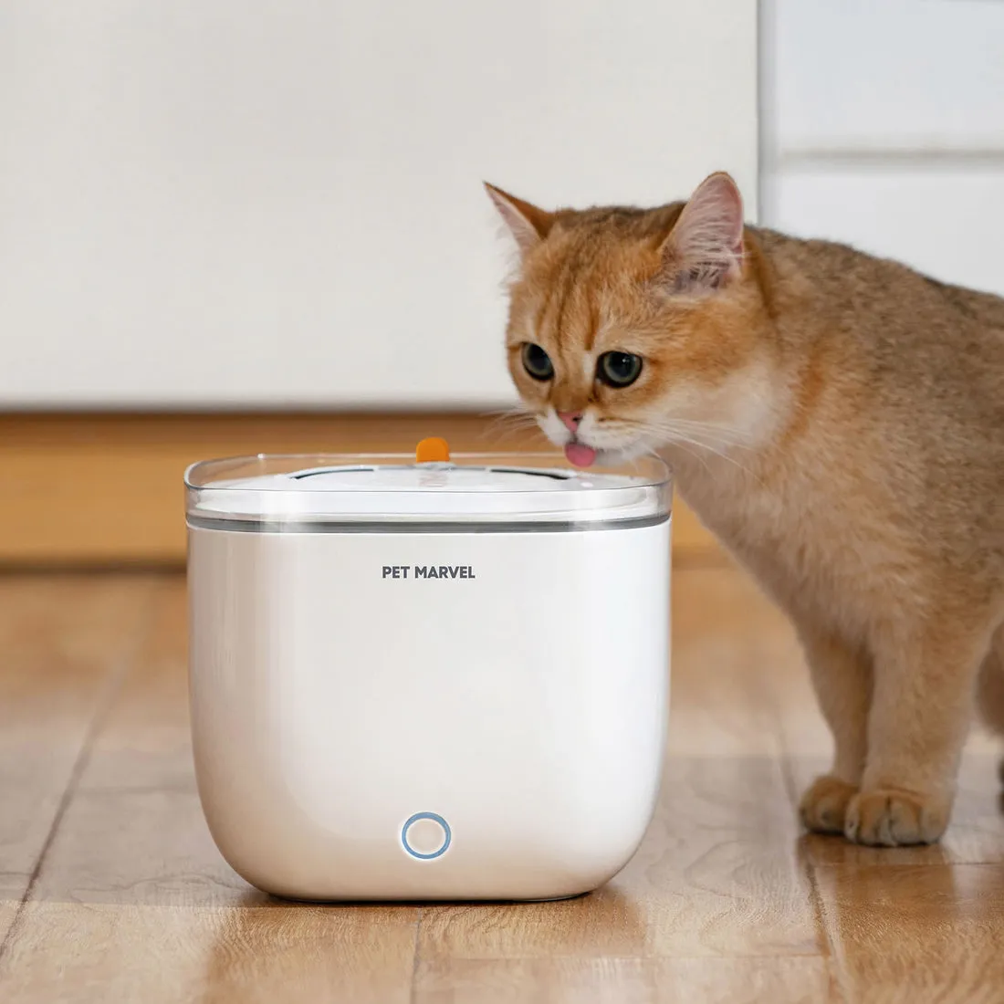 Petmarvel Smart Pet Water Fountain