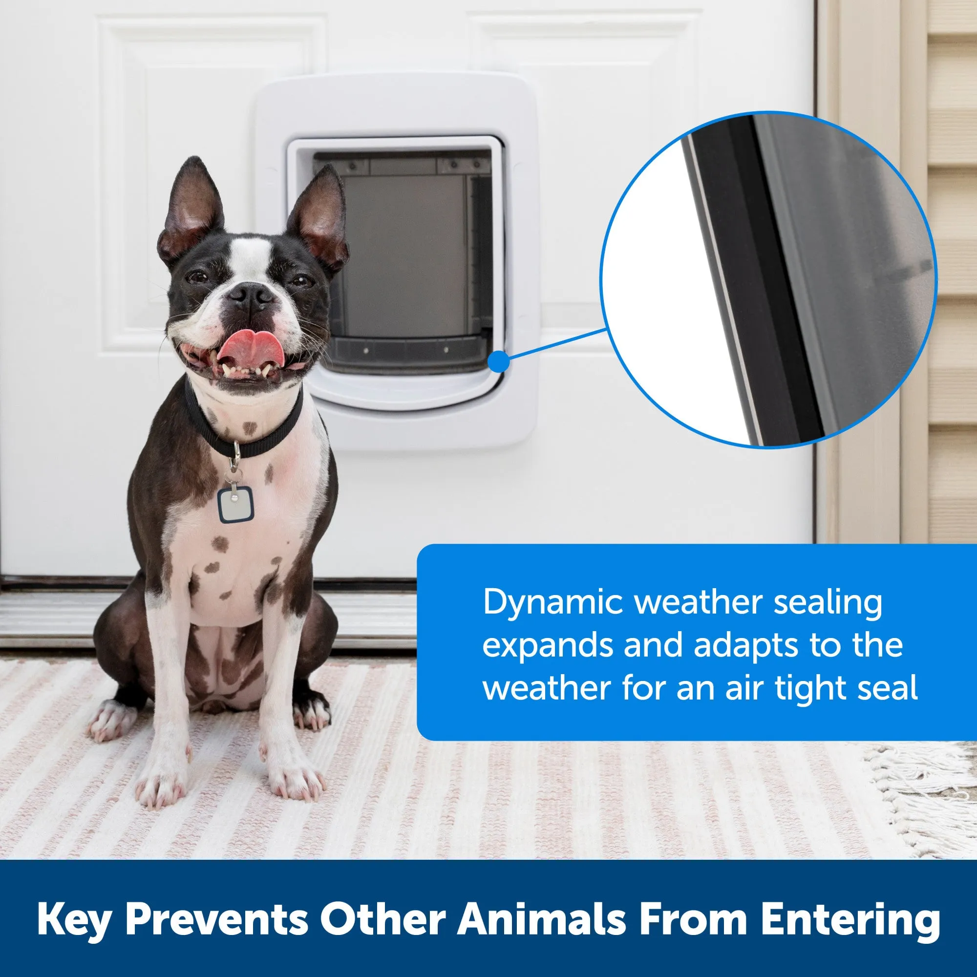 PetSafe NEVER RUST SmartDoor Connected Pet Door, Dog and Cat, Medium