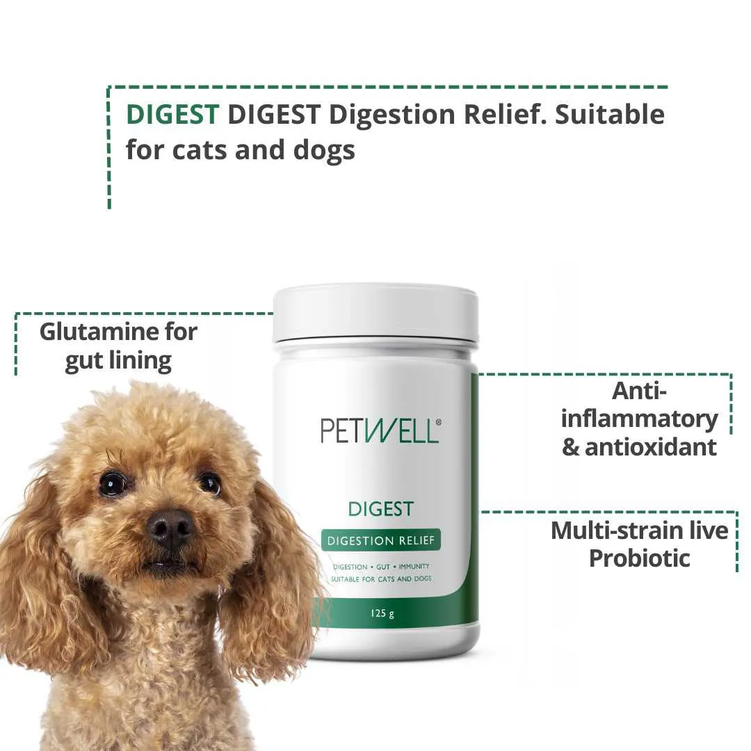 PetWell DIGEST - Digestion Relief Double Pack