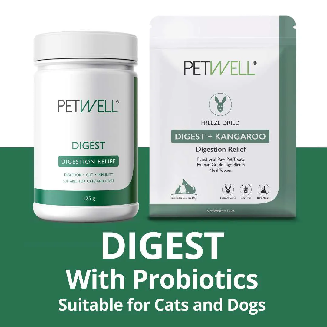 PetWell DIGEST - Digestion Relief Double Pack