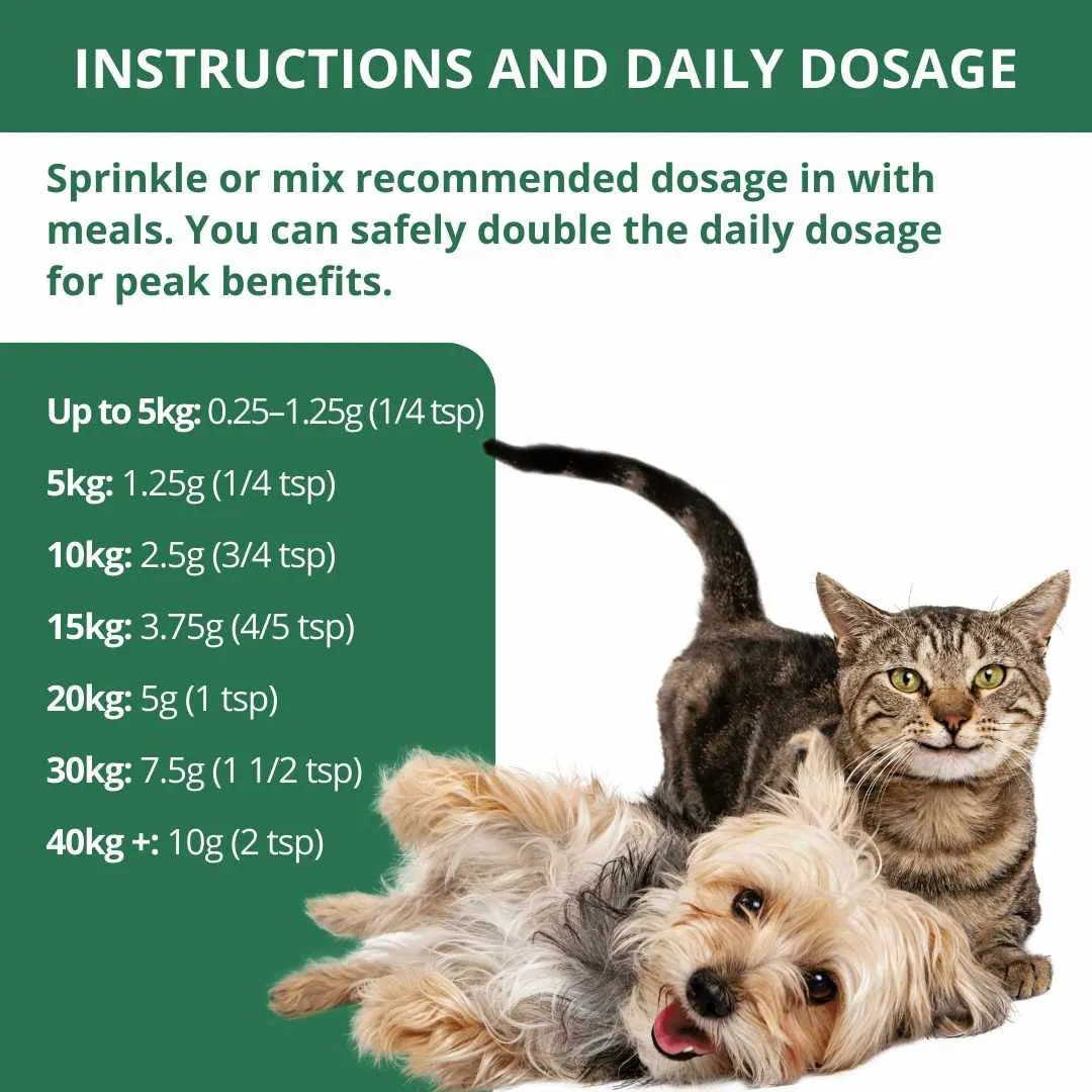 PetWell DIGEST - Digestion Relief Double Pack