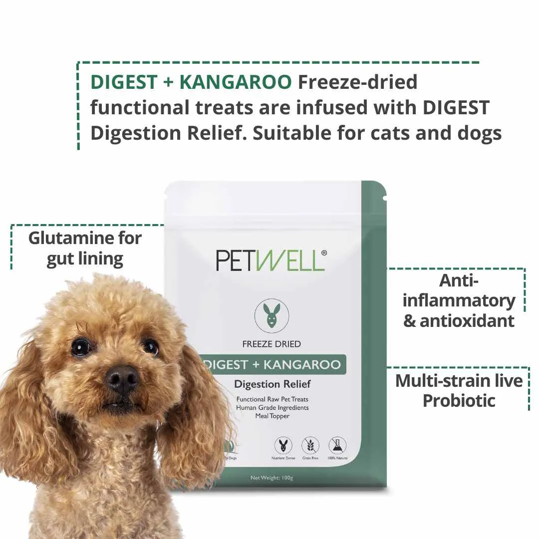 PetWell DIGEST - Digestion Relief Supplement   Treat Pack