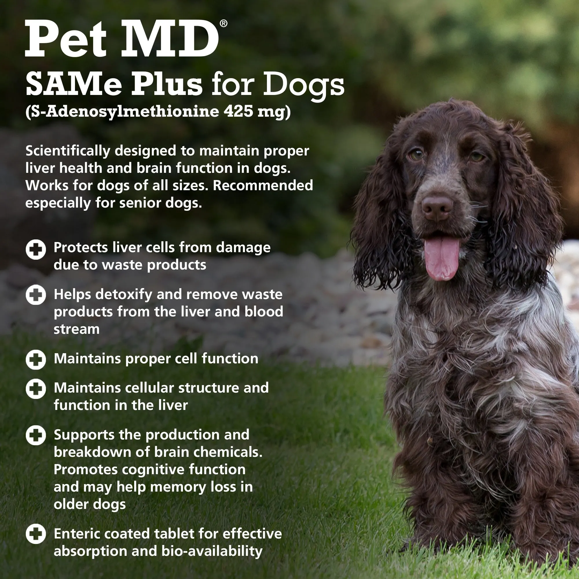 SAMe Plus S-Adenosyl 425mg Liver Supplement for Dogs - 30 Count