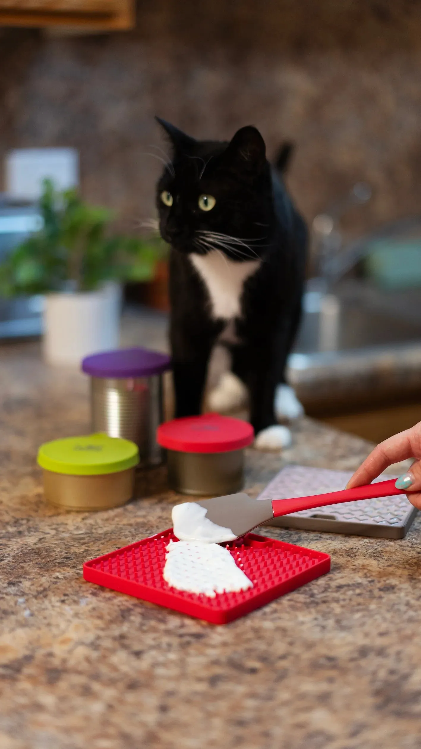 Silicone Universal Cat Food and Dog Food Can Cover, Fits 2.5" to 3.3"