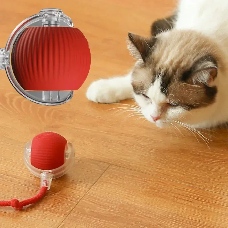 Smart Cat Toys Automatic Rolling Ball Fake Tail