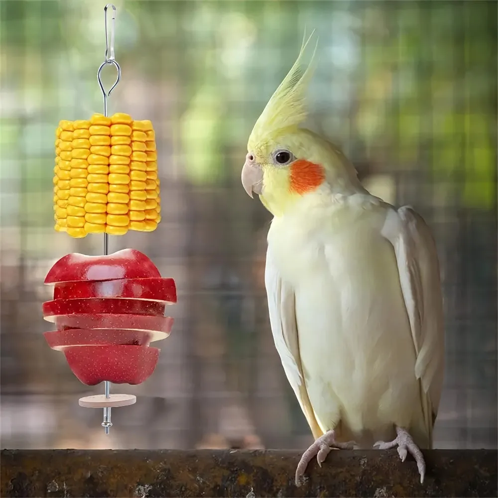 Stainless Steel Parrot Holder Feed and Entertain Your Bird