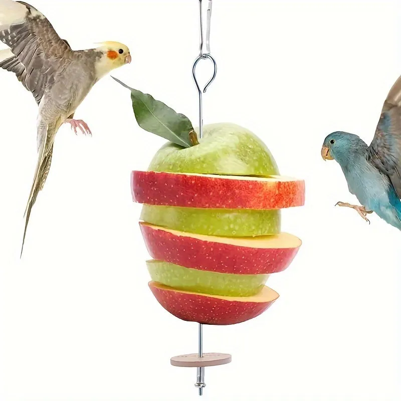 Stainless Steel Parrot Holder Feed and Entertain Your Bird