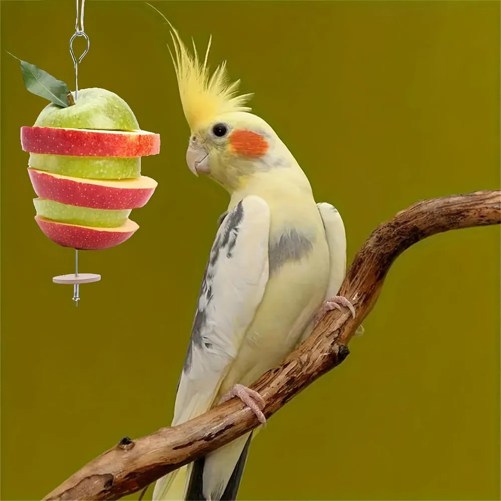 Stainless Steel Parrot Holder Feed and Entertain Your Bird