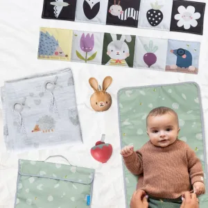 Taf Toys Play Mat Outdoors Kit 0m  | Newborn
