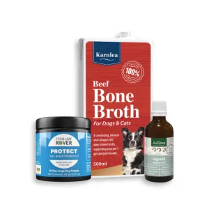 The Gut Protocol Bundle - Transitioning to Raw
