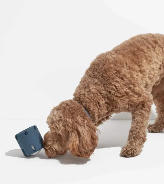 Wild One Tennis Tumble Dog Chew Toy (Navy)