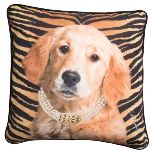 Willow the Golden Pillow